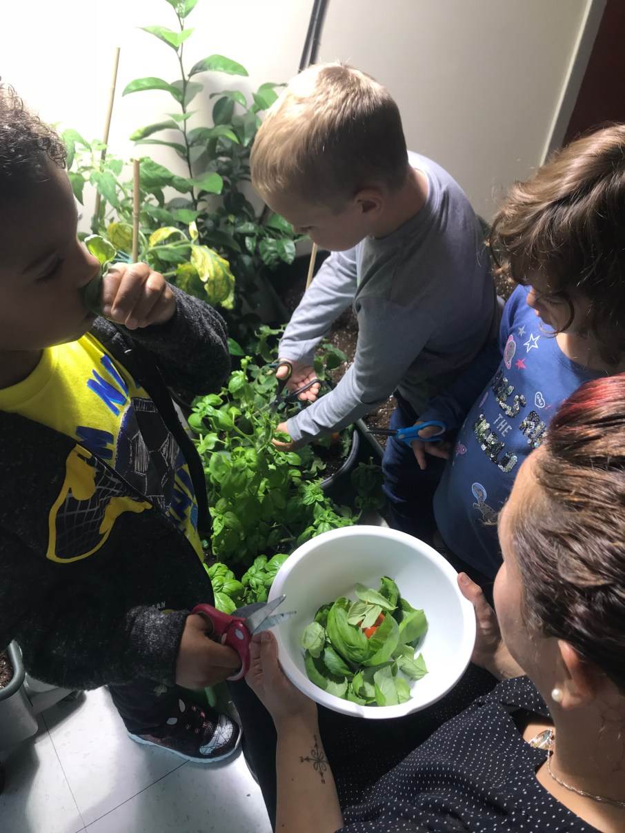 8F482C88-30E1-4192-AA70-2C6D0B22C66B